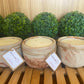 A Handcrafted Concrete Container Candle- Tulip Shape, Tan, Copper & Rose Gold Veined Candle- 8oz Double Wick, Luxury, Long-Burning Soy Wax- Phthalate Free Fragrance