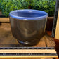 Handcrafted, Wheel-Thrown Container Candle- Small Blue/Black Angled Bottom Vessel with Glazed Snake- 8oz Luxury, Long-Burning Soy Wax- Phthalate Free Fragrance