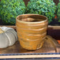 Handcrafted, Wheel-Thrown Container Candle- Medium Terra Cotta Vessel, Textured Rounds- 10oz Luxury, Long-Burning Soy Wax- Phthalate Free Fragrance